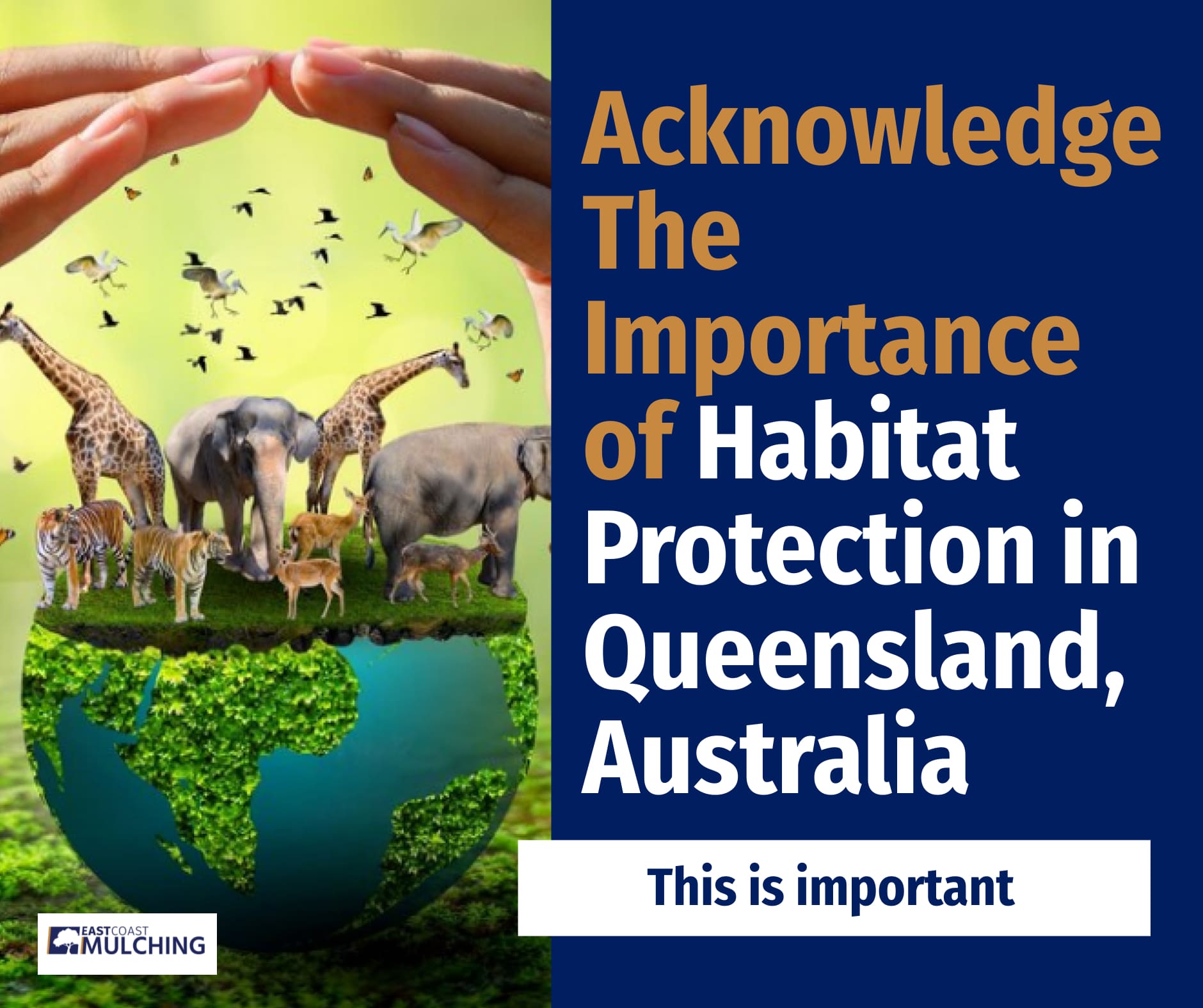 Acknowledge The Importance of Habitat Protection in Queensland, Australia